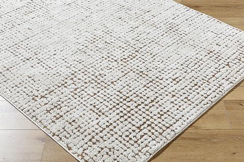 Transforming Spaces: Our Take on the Cascade Minimalist Rug